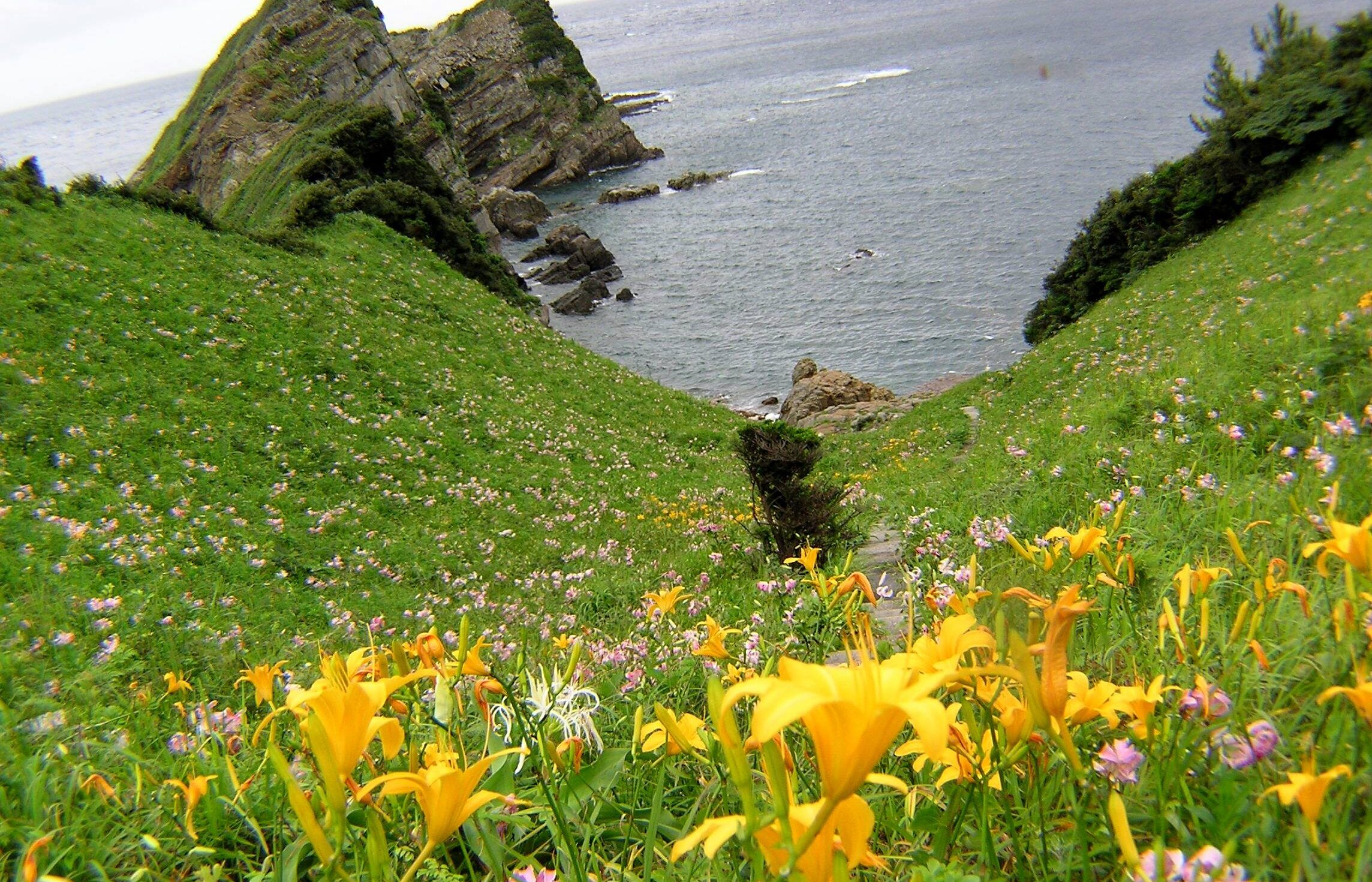 鳥の巣山展望所
