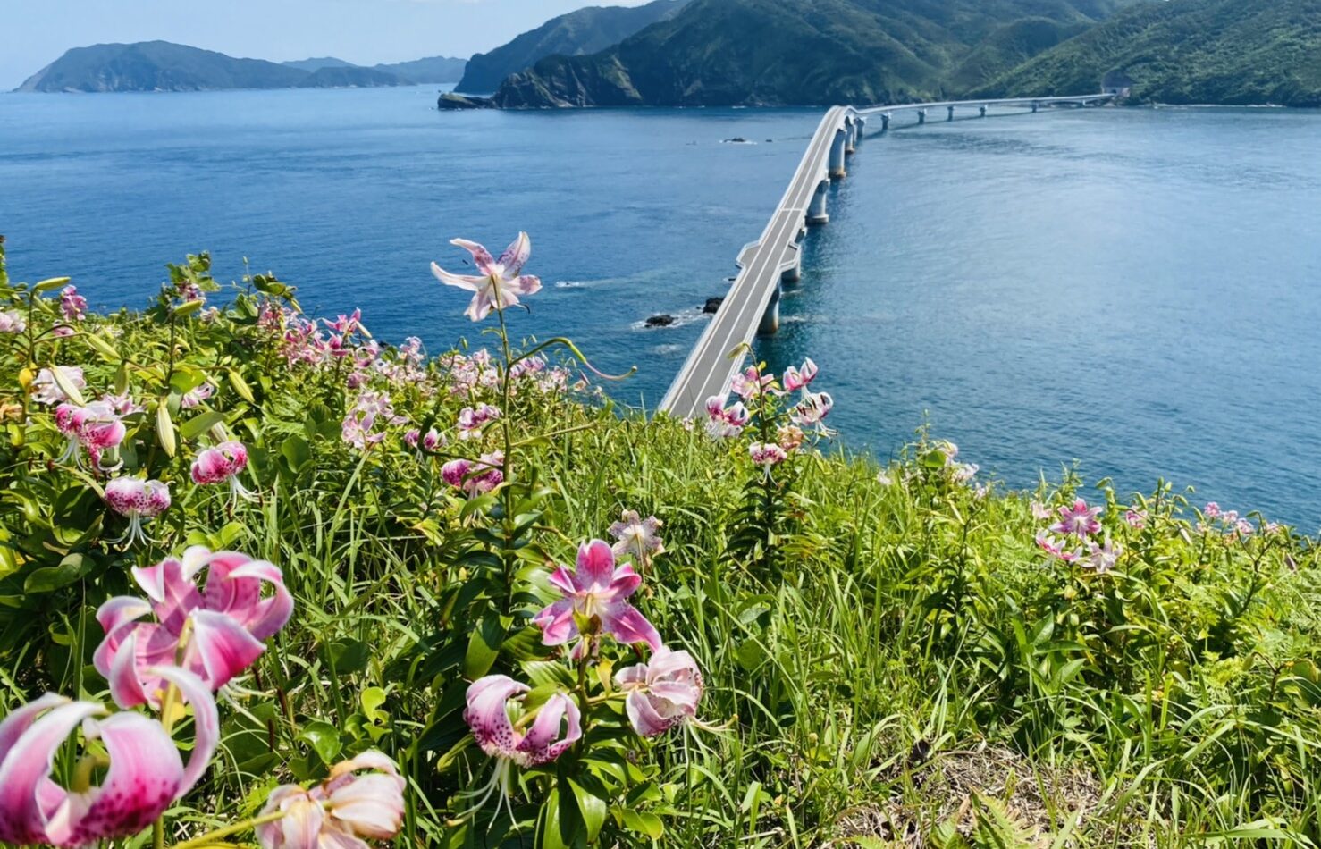 大橋とかのこゆり能勢様写真